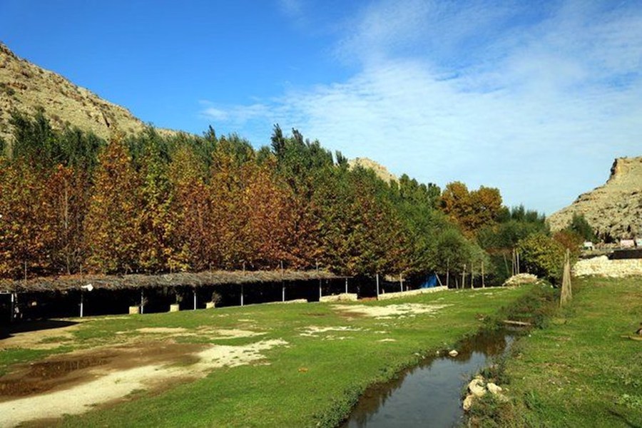 Her Mevsim Balayı